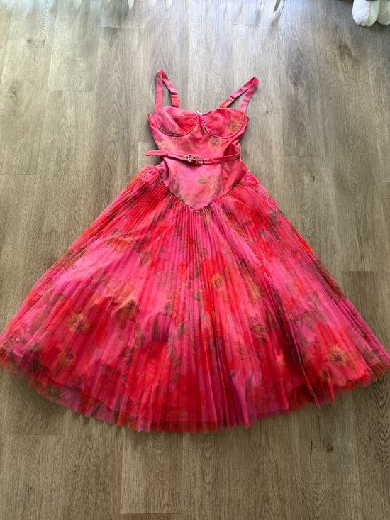 Hutch Dresses & Skirts - Hutch Lanie pink spanish floral tulle belted maxi gown dress size small NEW